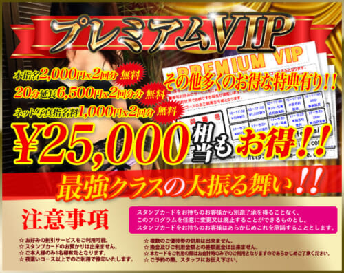 プレミアムVIP・25,000円相当お得